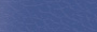 Blue Vinyl